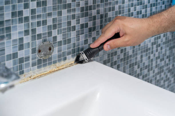 Best Attic Mold Removal  in Roessleville, NY